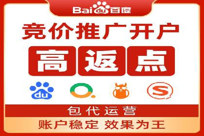 行业领先企业的网络推广与竞价经验